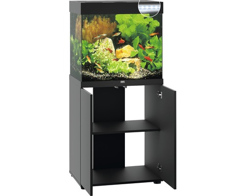 Aquarium mit Unterschrank und Beleuchtung