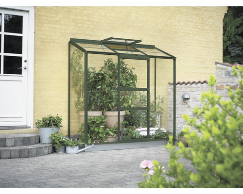 Gewächshaus aus Glas mit Pflanzen und Bewässerungszubehör im Garten.
