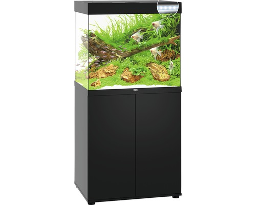 Komplettes Aquarium mit Unterschrank, bepflanzt und mit Fischen