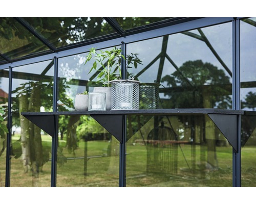 Detailaufnahme eines Gewächshauses mit Pflanzen auf einem Regal