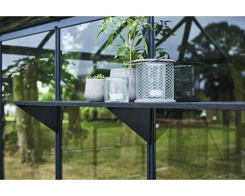 Regal mit Pflanzen und Windlichtern im Gewächshaus