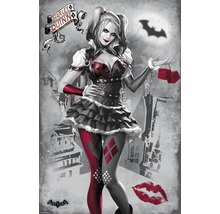 Harley Quinn Kunstdruck für die Wanddekoration