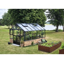 Gewächshaus JULIANA Premium 13,0 m² 3 mm Sicherheitsglas für Mauerfundament 296 x 439 cm anthrazit/schwarz
