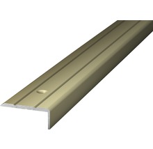 Treppenkantenprofil aus Aluminium