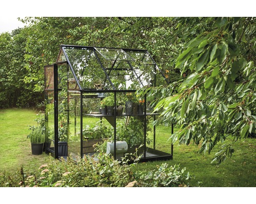 Gewächshaus mit Pflanzen im Garten
