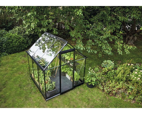 Gewächshaus mit Pflanzen im Garten