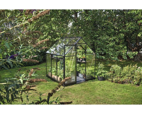 Gewächshaus mit Pflanzen im Garten