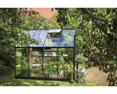 Gewächshaus mit Pflanzen im Garten