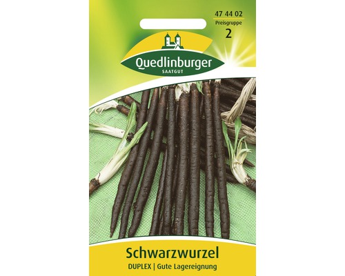 Schwarzwurzel 'Duplex' Quedlinburger Gemüsesamen