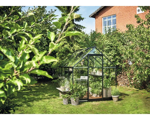 Gewächshaus mit Pflanzen im Garten