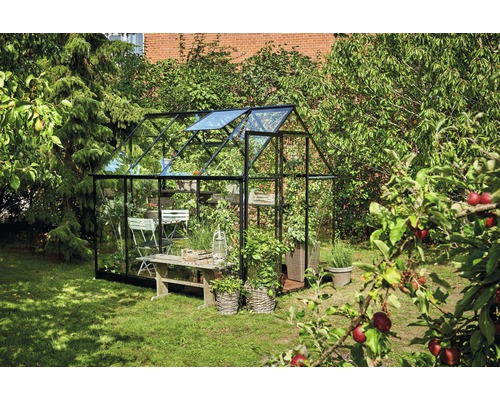 Gewächshaus mit Pflanzen und Gartenmöbeln im Garten