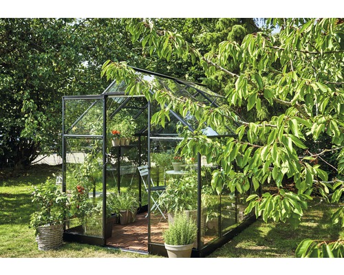 Gewächshaus mit Pflanzen und Gartenmöbeln im Garten