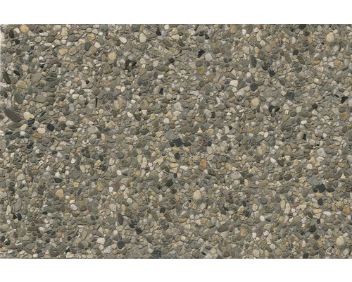 Beton Waschbetonplatte Rheinkies 8/16 mm 60 cm x 40 cm x 4 cm Nahaufnahme einer Betonoberfläche mit eingearbeiteten Kieselsteinen für den Aussenbereich.