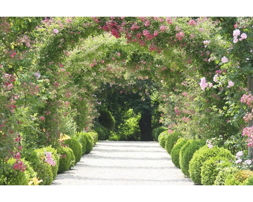 Fototapete Vlies 18012 Rose Arch Garden 7-tlg. 350 x 260 cm
