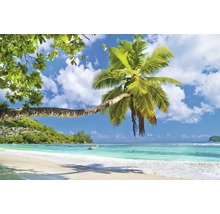 Tropischer Strand mit Palmen und blauem Himmel