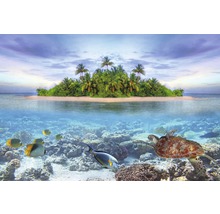 Fototapete Vlies 18025 Marine Life Maldives 7-tlg. 350 x 260 cm