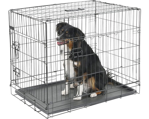 Transportbox KERBL klappbar 63x48x57 cm Transportbox KERBL klappbar 63x48x57 cm
