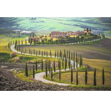 Fototapete Vlies 18048 Fields in Tuscany 7-tlg. 350 x 260 cm