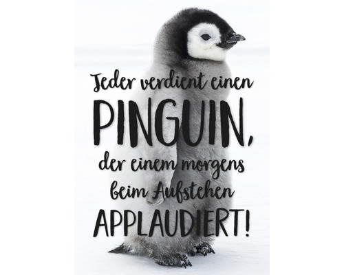 Postkarte Jeder verdient einen Pinguin, der einem morgens beim aufstehen applaudiert! 10,5x14,8 cm