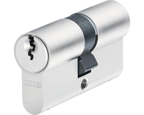 Profilzylinder-Set E20NP Abus 30/30 mm gleichschließend 2 Stück ABUS Zylinder-Einsteckschloss