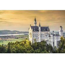 Schloss Neuschwanstein auf einem bewaldeten Hügel