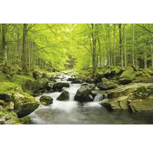 Bachlauf durch Wald mit Bäumen und Steinen