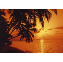 Sonnenuntergang am tropischen Strand mit Palmen