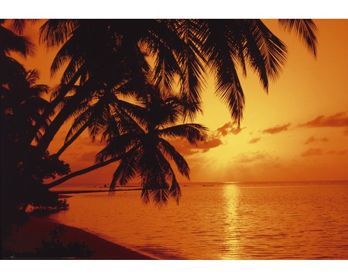 Fototapete Vlies 18276 Tropic Sunset 7-tlg. 350 x 260 cm
