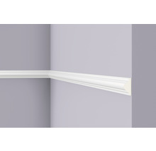 Wandleiste Z10 1 St. 2 m x 38 x 18 mm