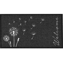 Schmutzfangläufer Création Delion anthrazit 66x120 cm