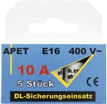Fünf Sicherungseinsätze, 10 Ampere