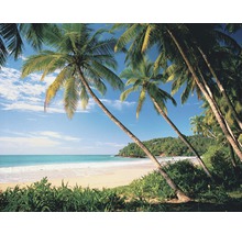 Strandlandschaft mit Palmen, Sand und Meer