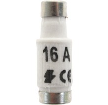 Feinsicherung 16 Ampere