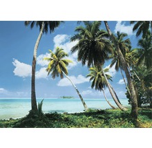 Fototapete mit Palmen am tropischen Strand