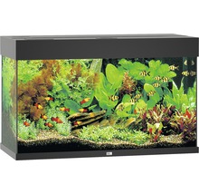 Aquarium JUWEL Rio 125 mit LED-Beleuchtung, Pumpe, Filter, Heizer ohne Unterschrank schwarz-thumb-1