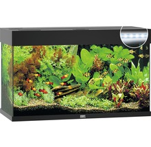 Aquarium JUWEL Rio 125 mit LED-Beleuchtung, Pumpe, Filter, Heizer ohne Unterschrank schwarz-thumb-0