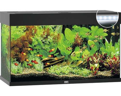 Aquarium JUWEL Rio 125 mit LED-Beleuchtung, Pumpe, Filter, Heizer ohne Unterschrank schwarz-0