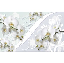 Fototapete Vlies 1206 VEXXXL Weiße Orchidee Dekor 4-tlg. 416 x 254 cm-thumb-0