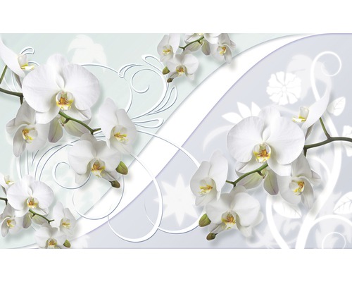 Fototapete Vlies 1206 VEXXXL Weiße Orchidee Dekor 4-tlg. 416 x 254 cm-0