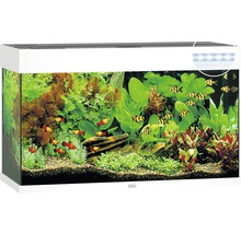 Aquarium JUWEL Rio 125 mit LED-Beleuchtung, Pumpe, Filter, Heizer ohne Unterschrank weiß-thumb-0
