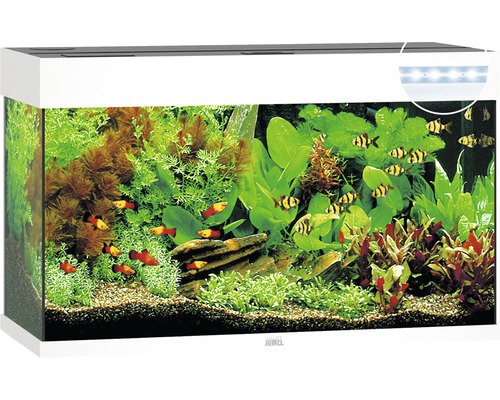 Aquarium JUWEL Rio 125 mit LED-Beleuchtung, Pumpe, Filter, Heizer ohne Unterschrank weiß