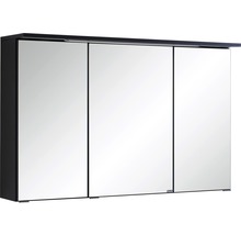 Spiegelschrank Held Möbel 100 x 20 x 66 cm dunkelgrau | HORNBACH | Spiegelschränke