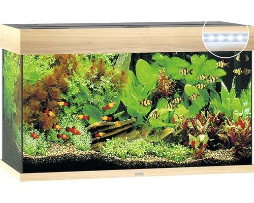 Aquarium JUWEL Rio 125 mit LED-Beleuchtung, Pumpe, Filter, Heizer ohne Unterschrank helles Holz