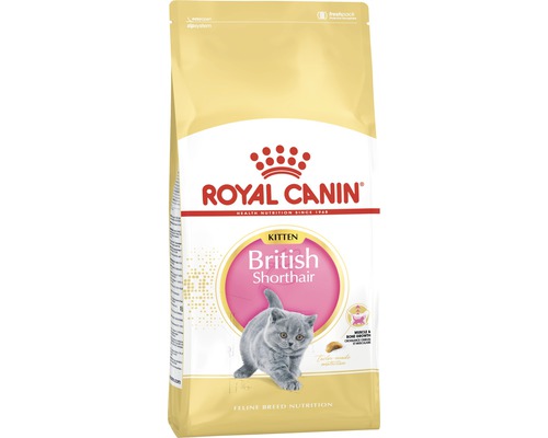 Royal Canin British Shorthair Kitten Katzenfutter