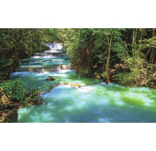 Kaskadenwasserfall mit grünem Wasser im Wald