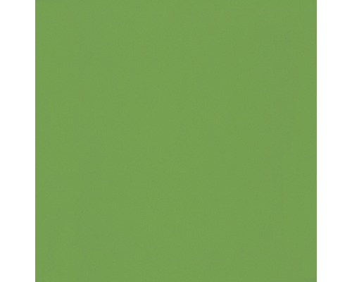 Steingut Wandfliese Grün 20x20 cm glänzend