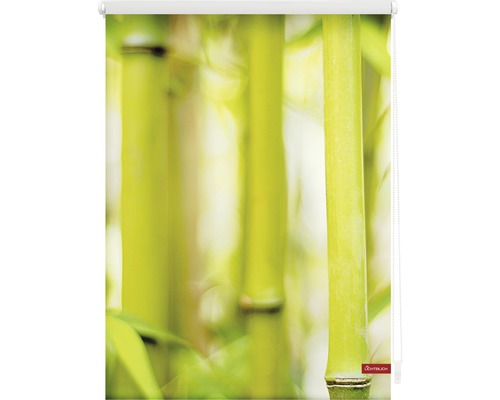 Rollo mit Bambus Motiv für Fenster