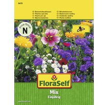 FloraSelf Bienenfutterpflanzen einjährig, Mischung