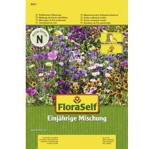 Blumensamenmix FloraSelf Duftblumen einjährig samenfestes Saatgut