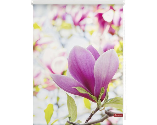 Rollo mit Magnolienblüten-Motiv